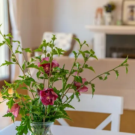 Clavell Holiday home